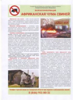 Африканская чума свиней