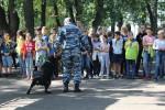 В Волжском районе Самарской области сотрудники полиции совместно с Общественном советом провели показательные выступления в детском лагере «Союз».