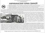 Африканская чума свиней
